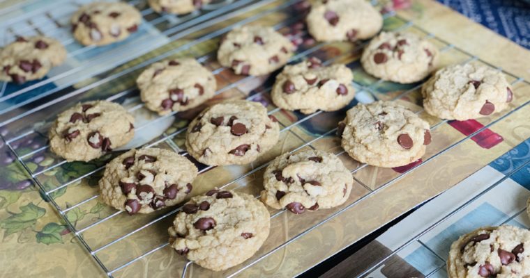 Best Simple Chewy Chocolate Chip Cookies
